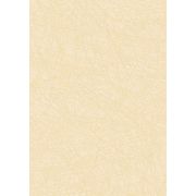 Плитка 280*400 Роуз без (низ)