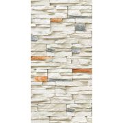 Панель бесшовная 250х2700 630