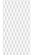 Панель бесшовная 250х2700 Орхидея фон 807