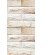 Панель бесшовная 250х2700 Доломит 81
