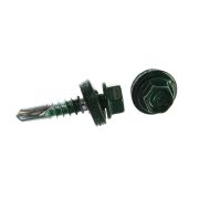 Кровельные 5,5/25 RAL6005 DAXMER