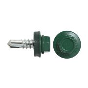 Кровельные 5,5/19 RAL6005 DAXMER