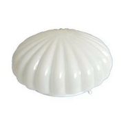 Плафон Ракушка молочный (на светильник)