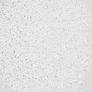 Плита потол Нева